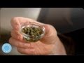 What are Capers? - Martha Stewart's Cooking School