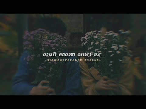 Yayata Payana Poda Sanda (Slowed+Reverb) / lyrics // M Status