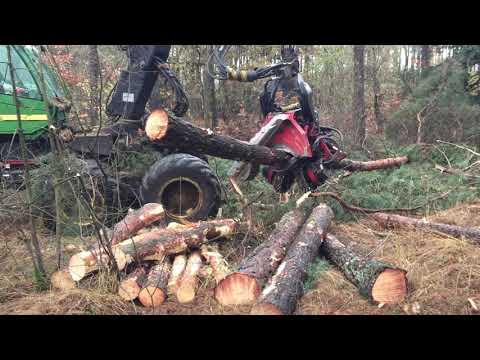 Houtoogstmachines - Video 4