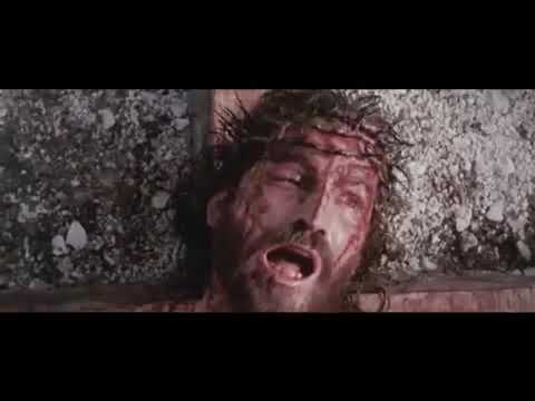 alex campos como el color de la sangre