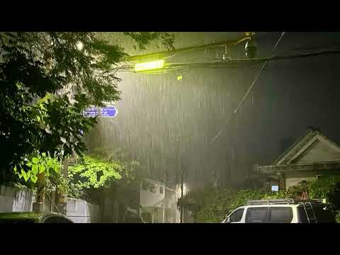 𝐏𝐥𝐚𝐲𝐥𝐢𝐬𝐭 여름밤 새벽 극락 플레이리스트 ⊹₊°.