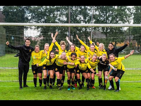 CSV VIOS Vaassen jaaroverzicht 2020