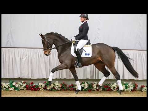 37  Rawella Stute v. Rock Forever I - Lauries Crusador xx