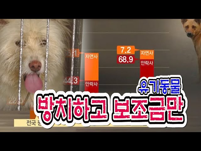 '4분의 3은 죽어 나가' 방치해 놓고 보호비만 챙겨