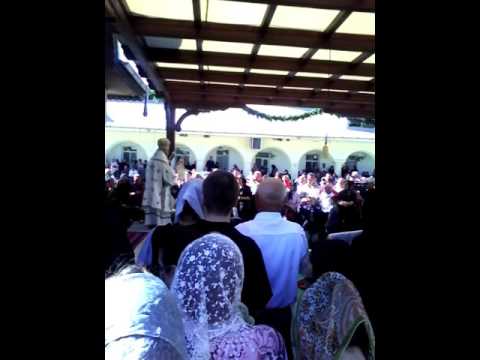 dracucentralist .[nicusor dracosu]