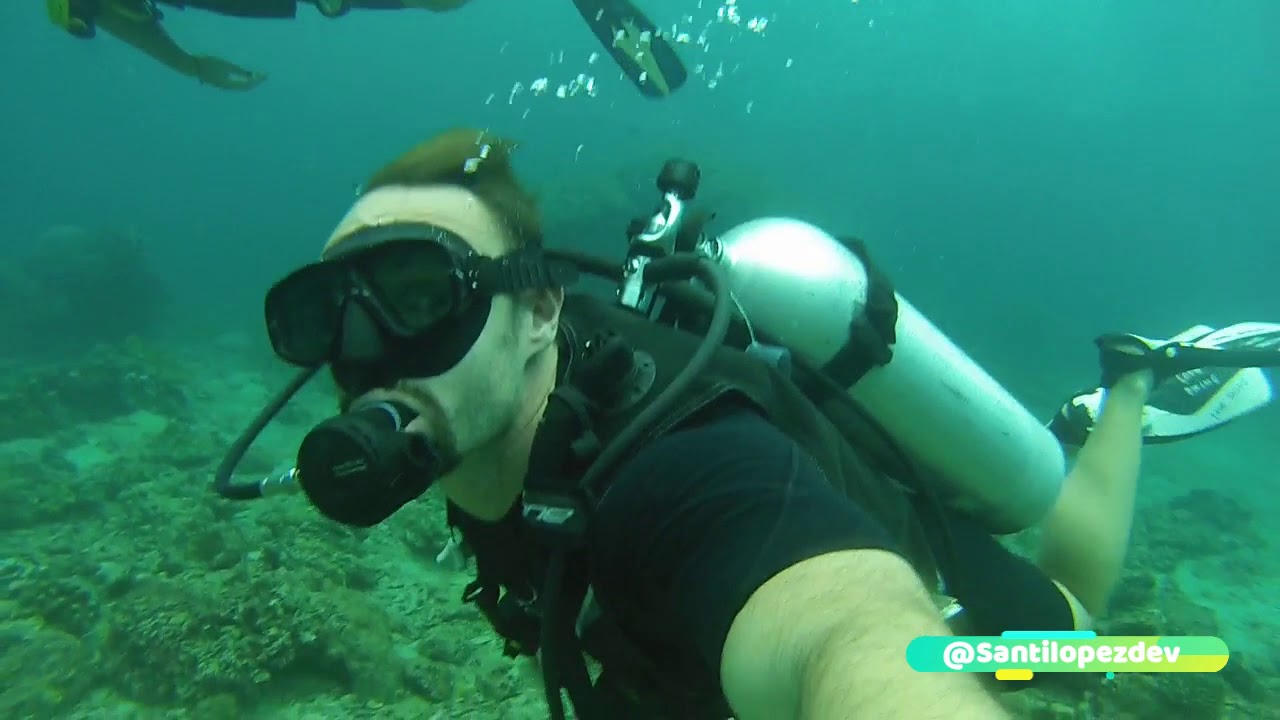 Experience diving at Palong wall with this video.