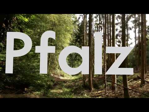 Pfalz - a hiking trip