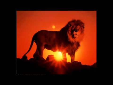 Le lion est mort ce soir