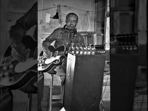 Jesse Fuller All Night Long Live Newport Folk Festival 1969