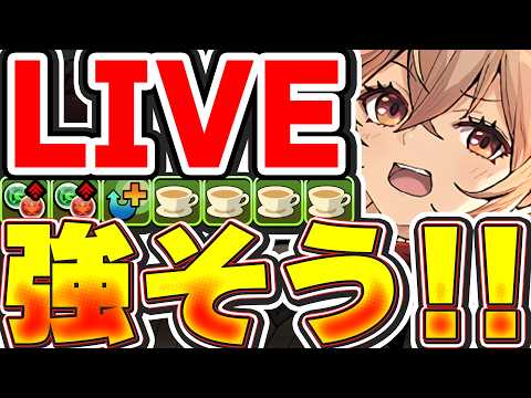 「パズドラ配信！メイドコロシアムでヴァレリア＆ロシェを試してみた」