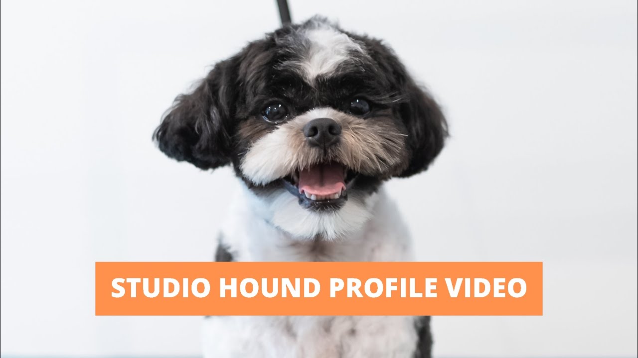 Studio Hound Profile Video