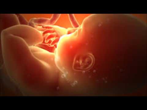 Prenatal sounds 2 hours, white noise - biały szum