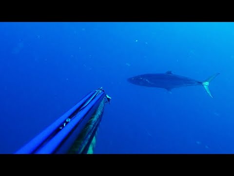 1/10/2022 - Mac x2 + Behind The Scenes