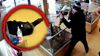 Thieves Fake Seizure to Steal Puppies: Cops