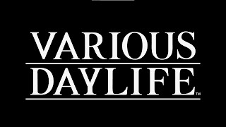 VARIOUS DAYLIFE (PC) Steam Key GLOBAL