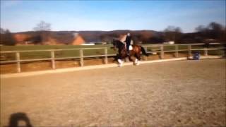 Dodge City, 2011, Desperados x Westernhagen