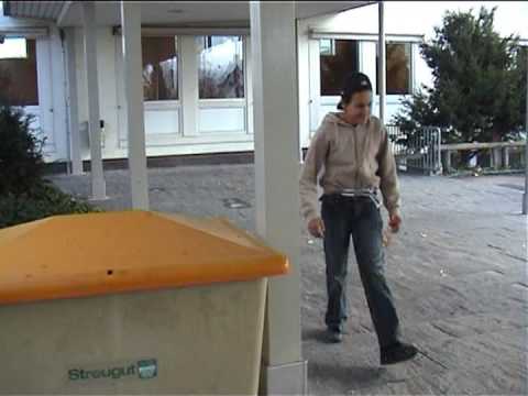 Herisau, Schulprojekt