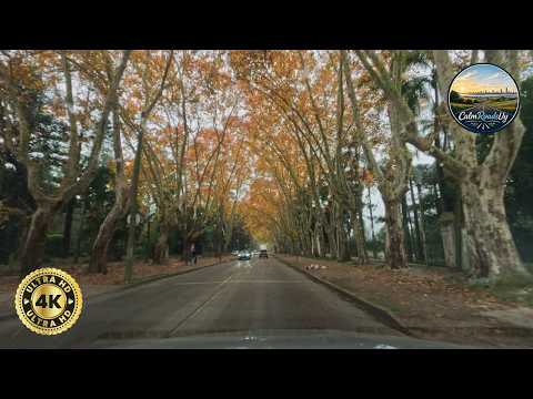 Relaxing Rainy Drive | Montevideo to Santa Rosa, Uruguay 🇺🇾 | Prado & Countryside Roads [4K 60 fps]