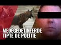 Ontwikkelingen in zaak drievoudig moordverdachte Sjonny W.