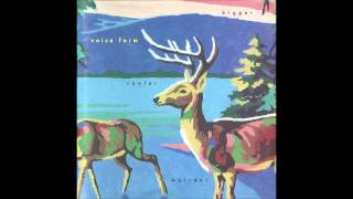 Voice Farm 'Seeing is Believing'