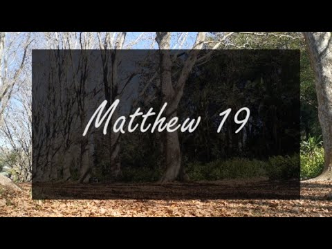 Matthew 19 Nlt