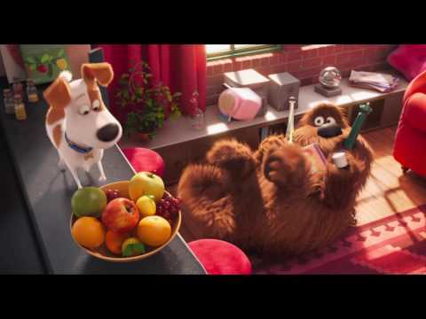 secret life of pets hamster secret life of pets hamster