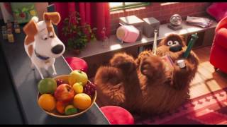 THE SECRET LIFE OF PETS All Movie Clips