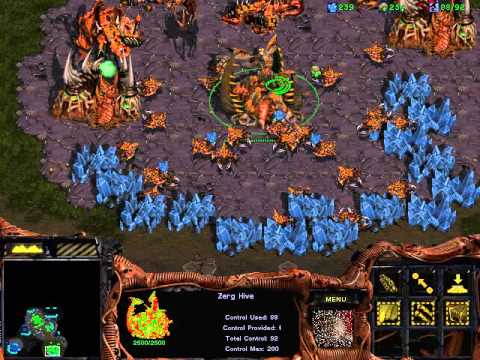 StarCraft 1 zerg VS 7 random at big game hunters,1/2