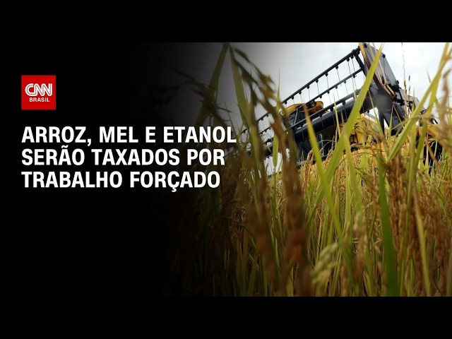 Tarifaço: Arroz, mel e etanol serão taxados por trabalho forçado | CNN AGRO NEWS