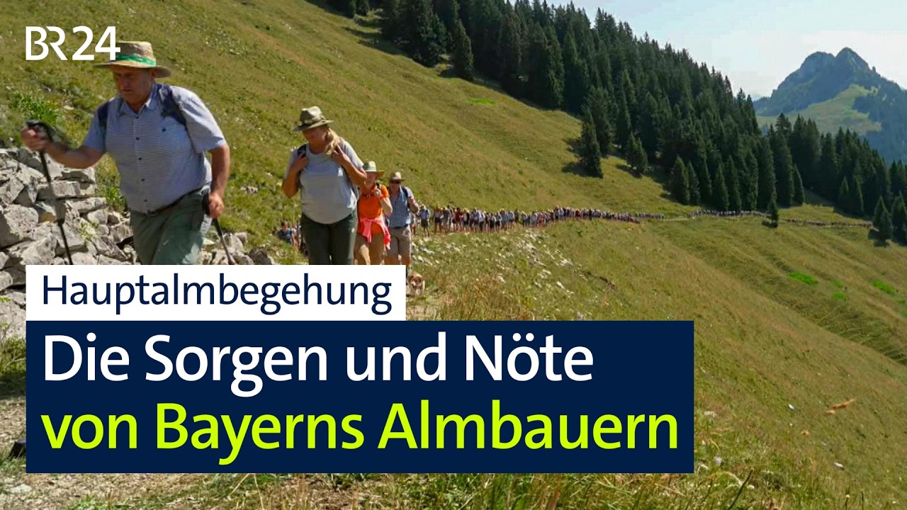Hauptalmbegehung: Die Sorgen und Nöte von Bayerns Almbauern | BR24