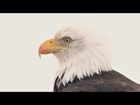 Veteran Eye - "Penny Pincher's" Official Video