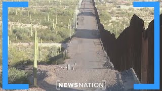 Wildlife advocates warn of border wall's environmental impact | Rush Hour