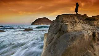 Melissa Etheridge It's For You