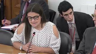 2026 05 28 - Audição do Sindicato dos Técnicos da Direção-Geral de Reinserção e Serviços Prisionais