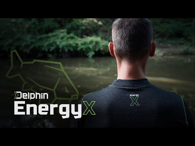 energyX