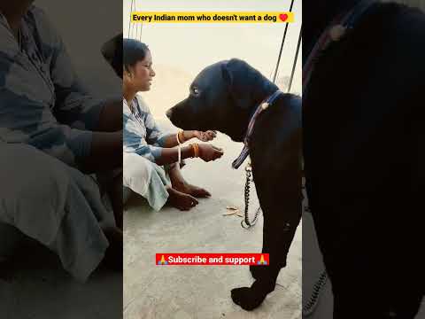 Every Indian mom who doesn’t want a dog ♥️  | #viral #motivational #ytshorts #video