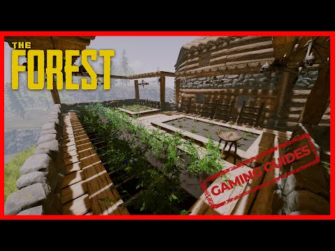 MEDIZIN UND ENERGIE HERSTELLEN + GÄRTNERN / Gaming Guides - The Forest 🌲