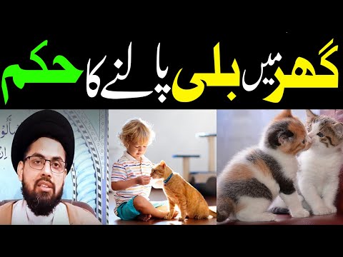 Ghar Mein Billi Palna Kaisa Hai? | Cat Palna In Islam | Janwar Palna Kais hai | Billi Ka Jhota