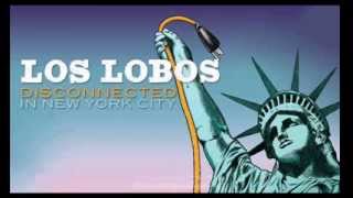 Los Lobos - Bertha [Live]