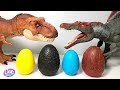 Hatch New Dinosaur Toys Eggs With Jurassic World Dinosaur Fun Video
