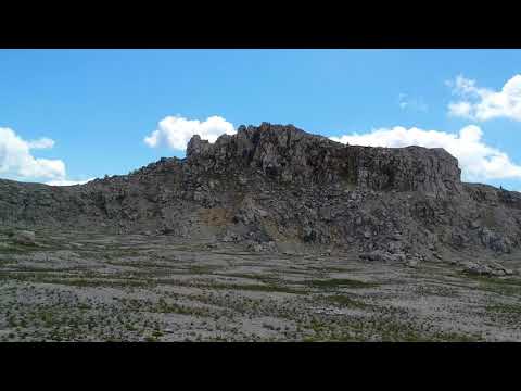 Podul cu Florile (Bolboci)