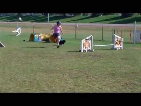 Min - USDAA  - Starters Snooker - CACM - 9/26/15