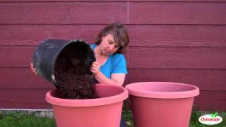 How to Grow Potatoes in a Container