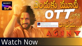Agent Ott Release Date Postponed Reason In Telugu|Buzz24 Telugu|Agent Movie Ott Release Date