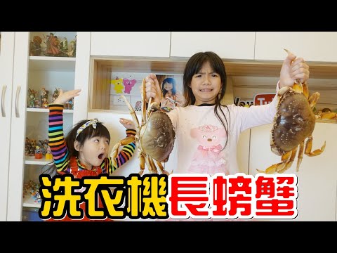 家裡有螃蟹