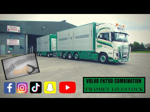 Dr. Sara May, Allergy and Immunology