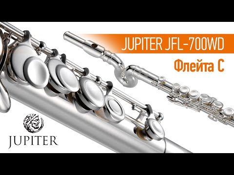 Флейта Jupiter JFL700WD