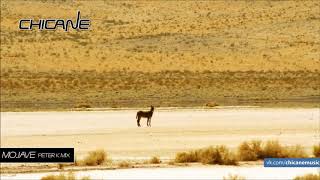 Chicane - Mojave (Peter K Mix)