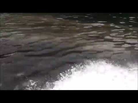 Mancha de óleo na Ilha Grande