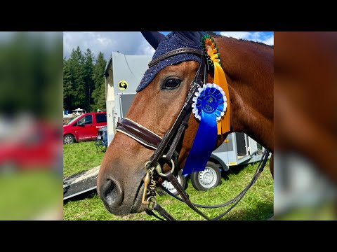 SIEG Dressurreiter L RL2 Queidersbach 2024